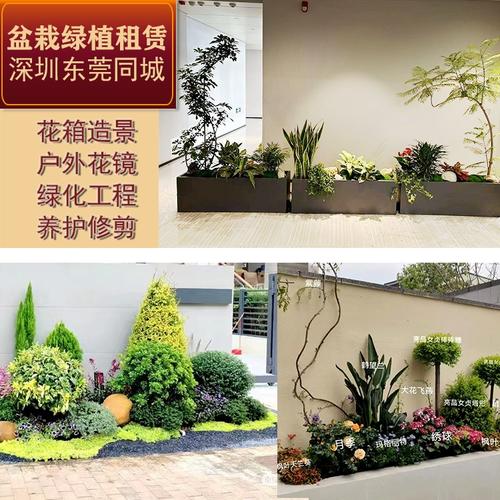 綠意盎然的鵬城與莞城 專業(yè)戶外綠化工程與植物租賃服務全解析