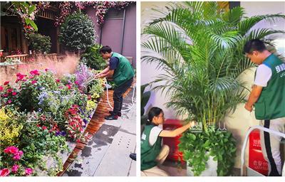 武漢辦公室植物租賃養(yǎng)護指南 選擇綠叢園林的3大理由